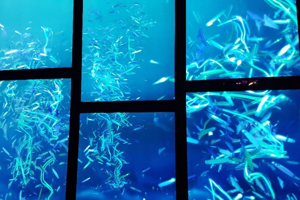 Thumbnail for Enchanted Waters