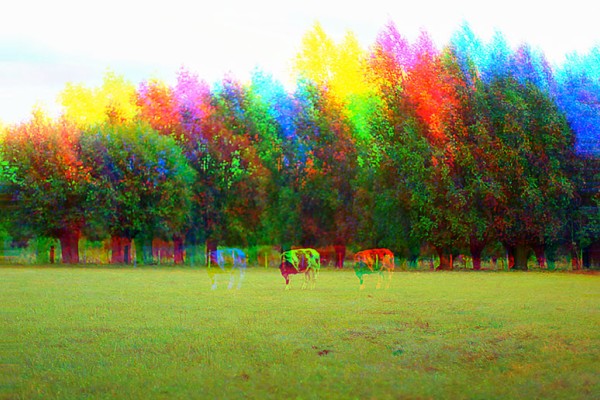 Thumbnail for Equilibrium